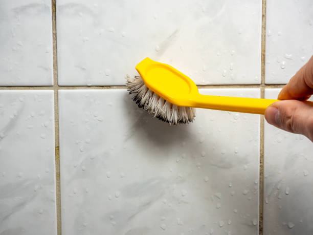 Mold Removal Process in Goshen, KY