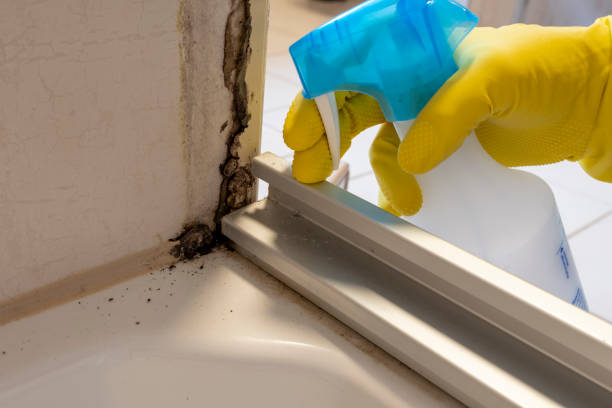 Crawl Space Mold Removal in Goshen, KY