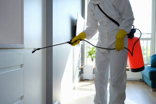 Best Commercial Mold Removal  in Goshen, KY