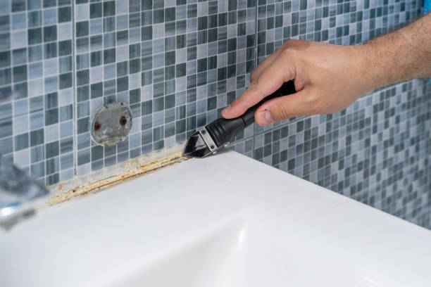 Best Professional Mold Removal  in Goshen, KY