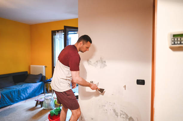 Best Professional Mold Removal  in Goshen, KY