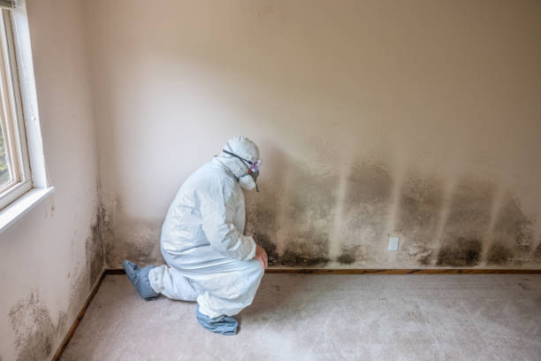 Best Mold Testing  in Goshen, KY