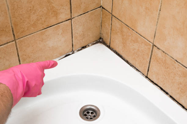 Best Mold Testing  in Goshen, KY